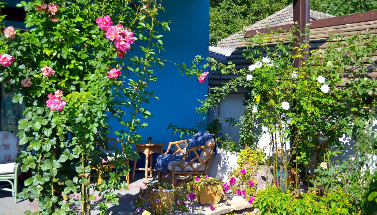 Bed and Breakfast Resedinta Rotundu Butuceny Exterior foto