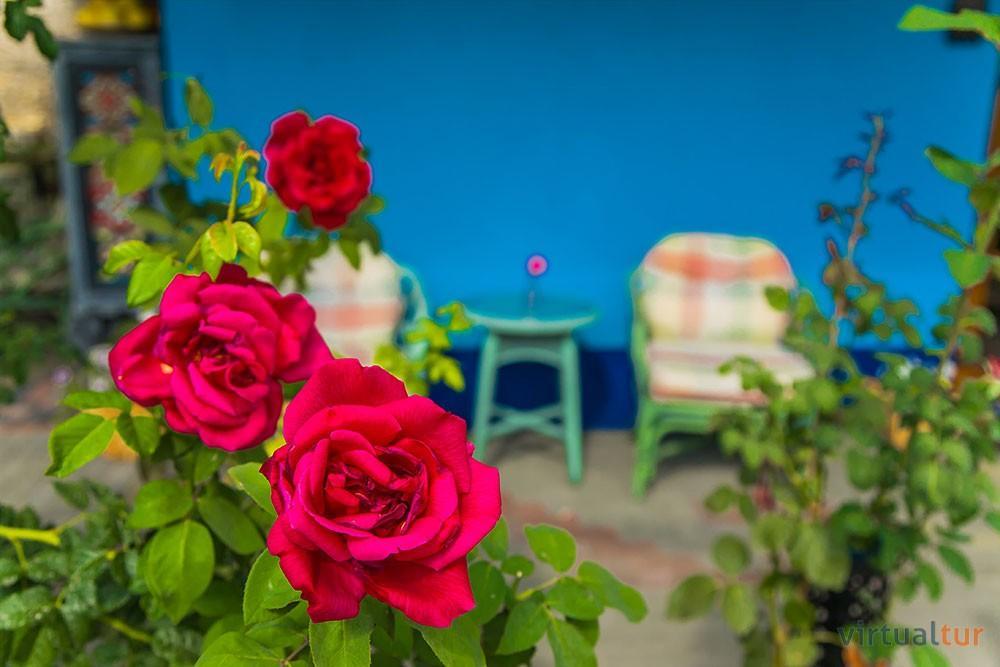Bed and Breakfast Resedinta Rotundu Butuceny Exterior foto